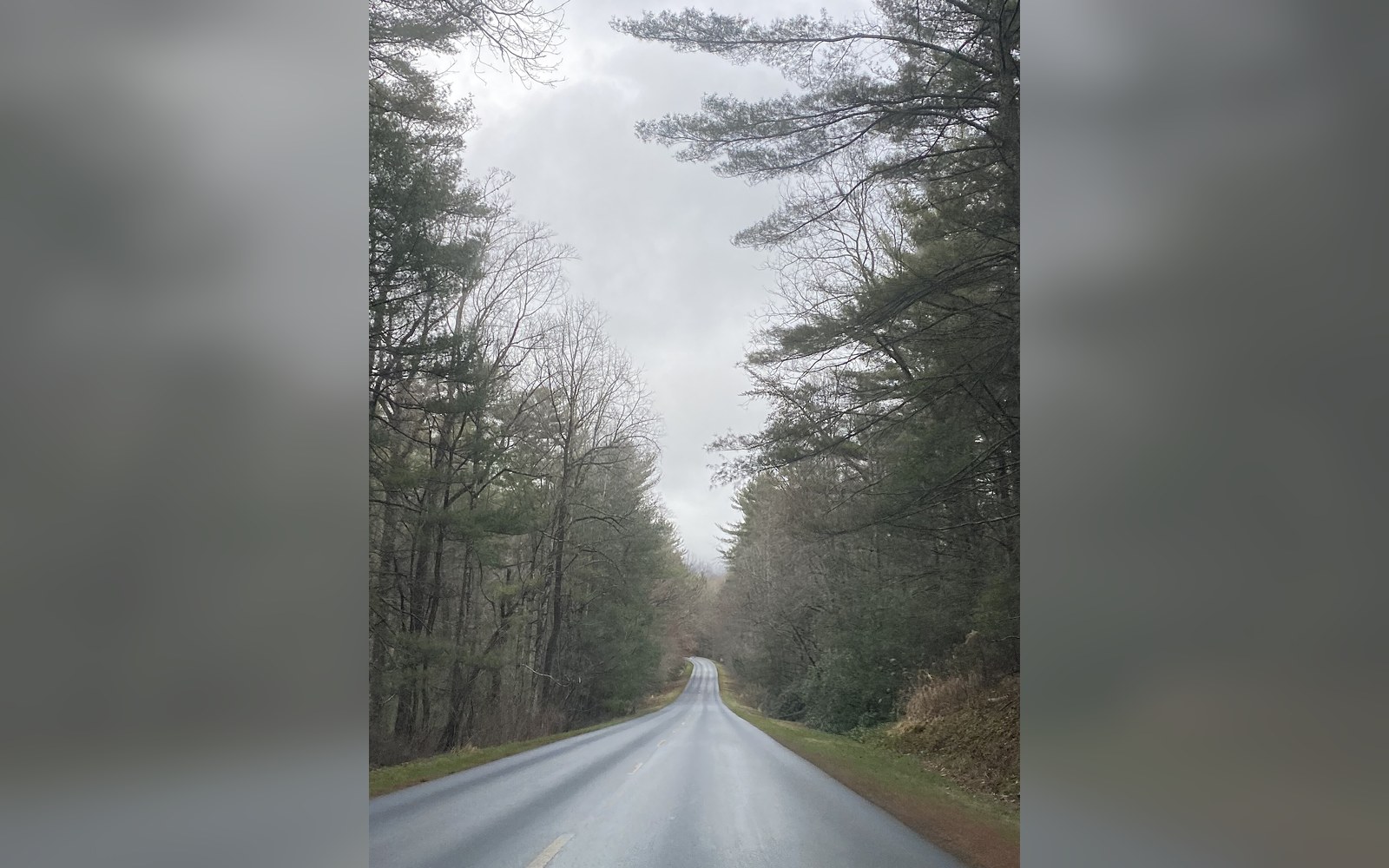 Empty two-lane road curving through bare and evergreen trees under an overcast sky