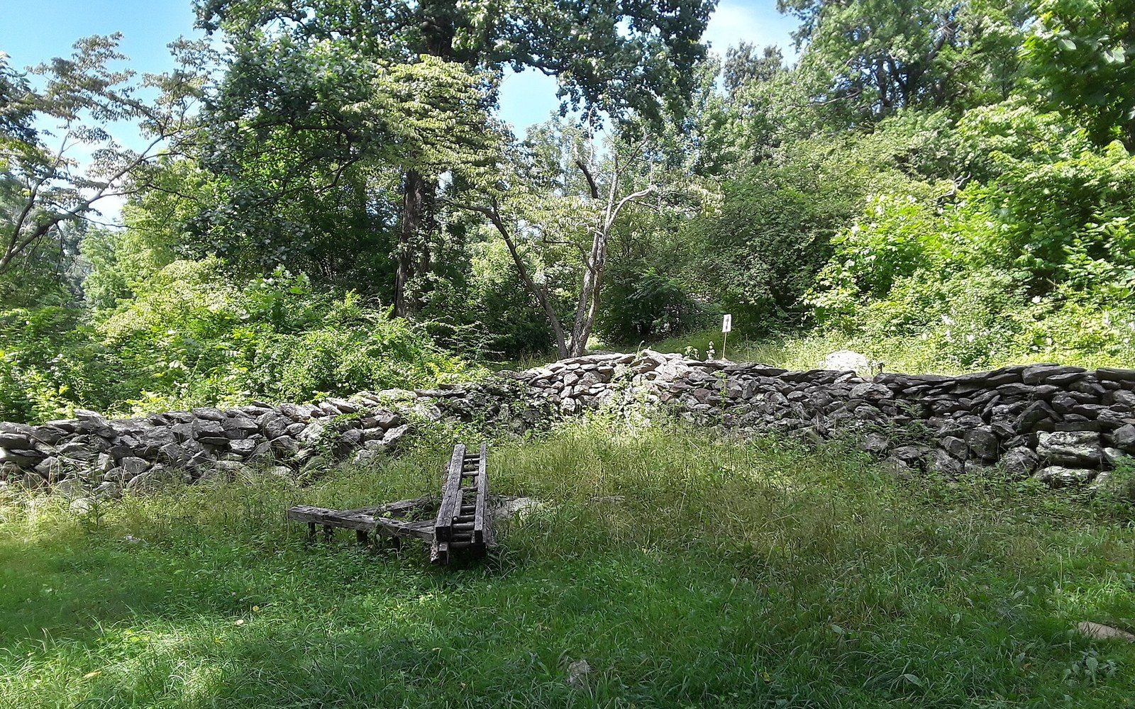 A weathered wooden ladder rests against a low stone wall in a grassy clearing