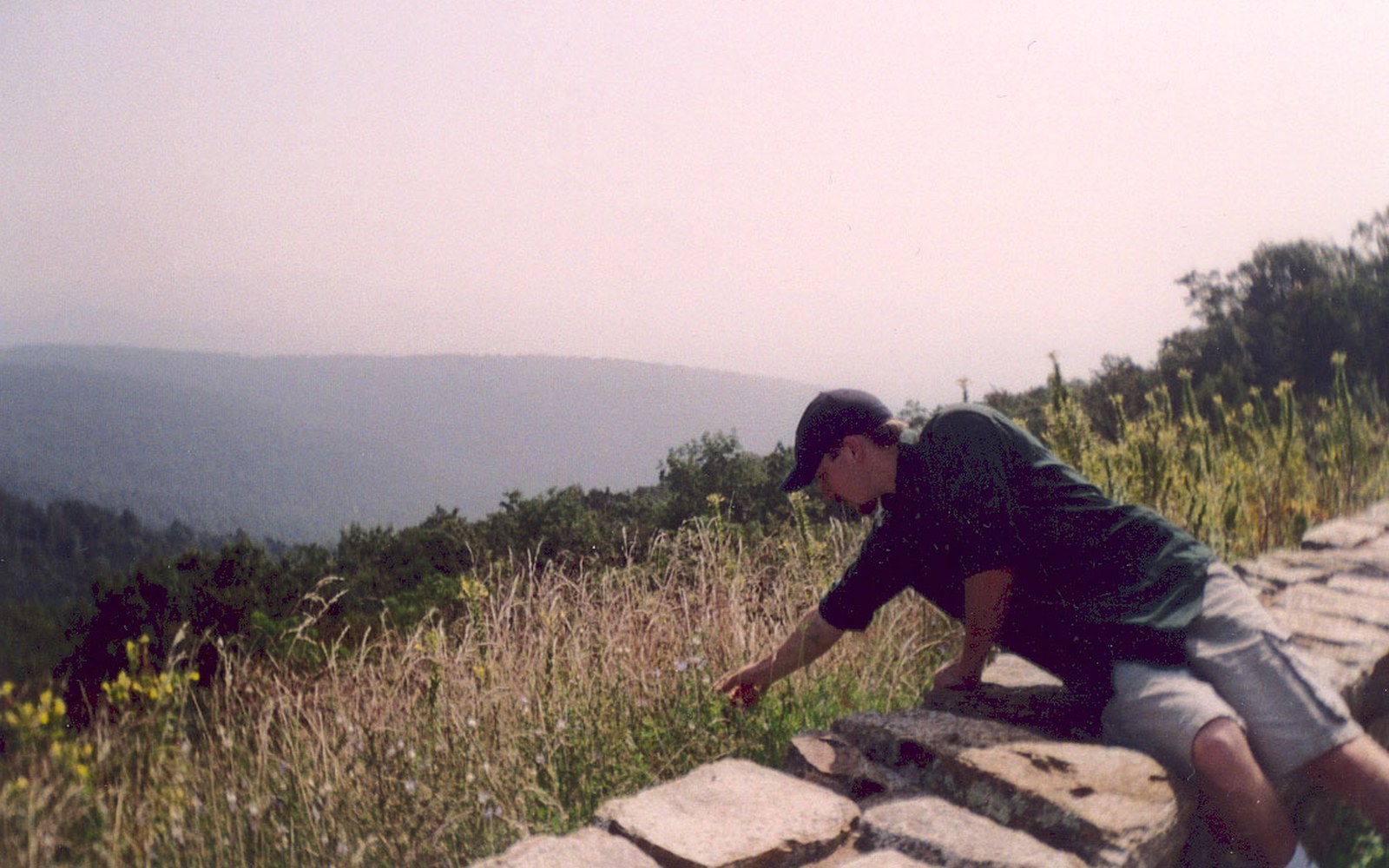 A man leans over a stone wall to touch wildflowers overlooking a hazy mountain ridge