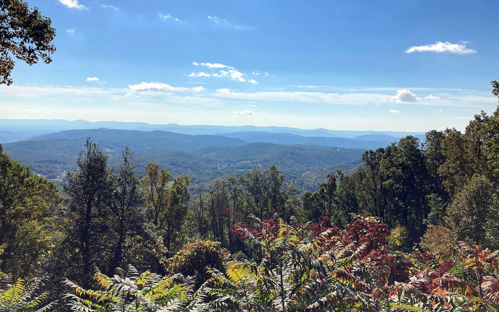 Layered blue ridges stretch to the horizon beyond forested slopes with autumn foliage