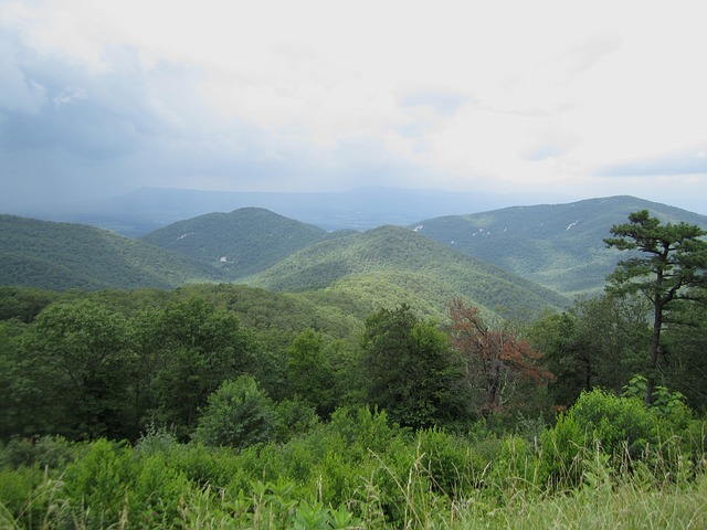 Why Blue Ridge Parkway is The Ultimate Sightseeing Getaway?