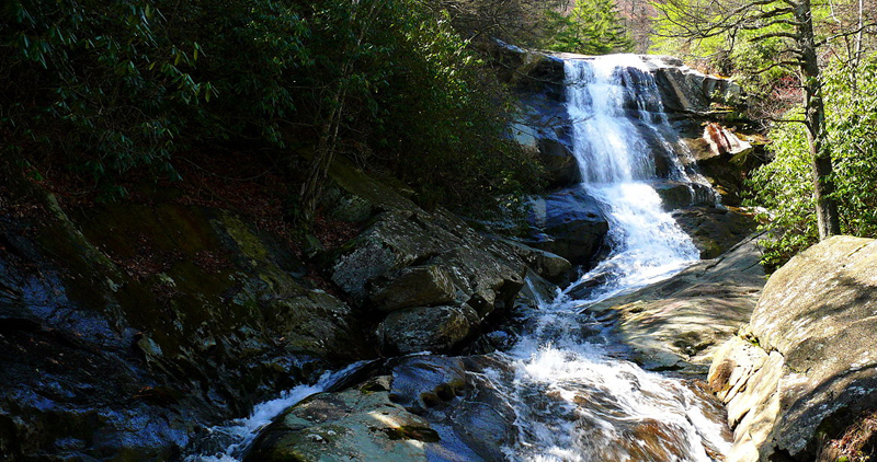 pisgah national forest